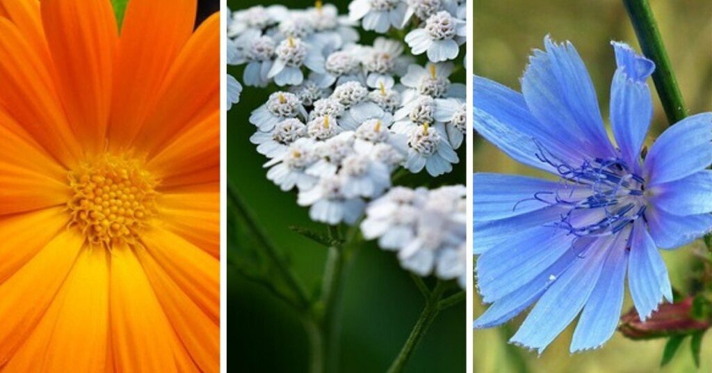 5dce52877b3da_o_original_1745652084