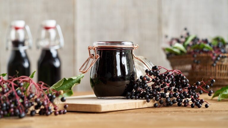 dzieki-cennym-antocyjanom-czarny-bez-ma-mnostwo-wlasciwosci-prozdrowotnych_1745519790