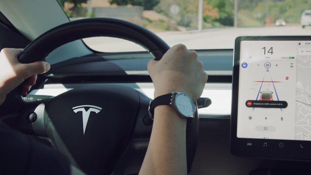 teslafsdbetaaa_1745728540