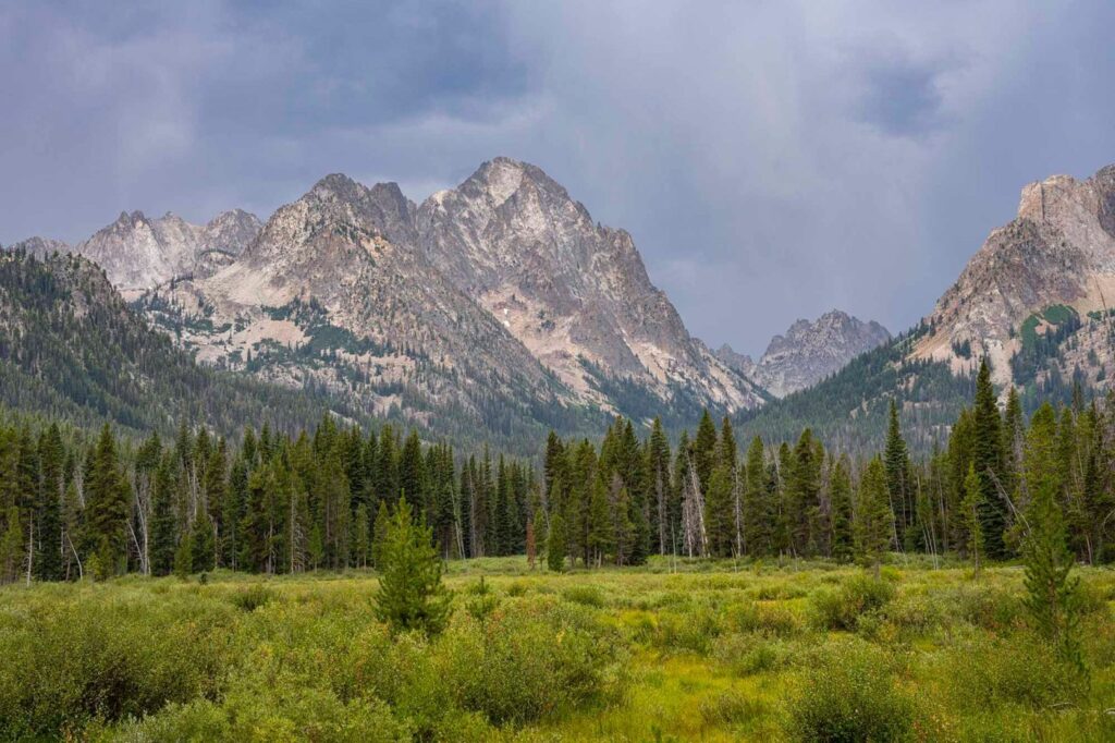 dsc06559_3a_1747305685