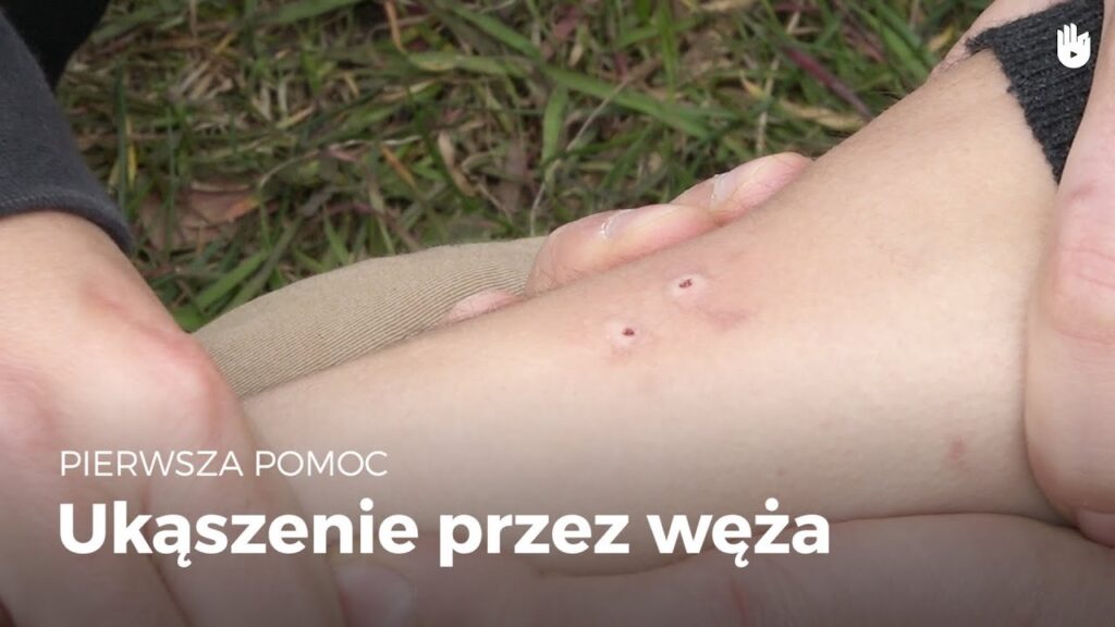 maxresdefault_1746372932