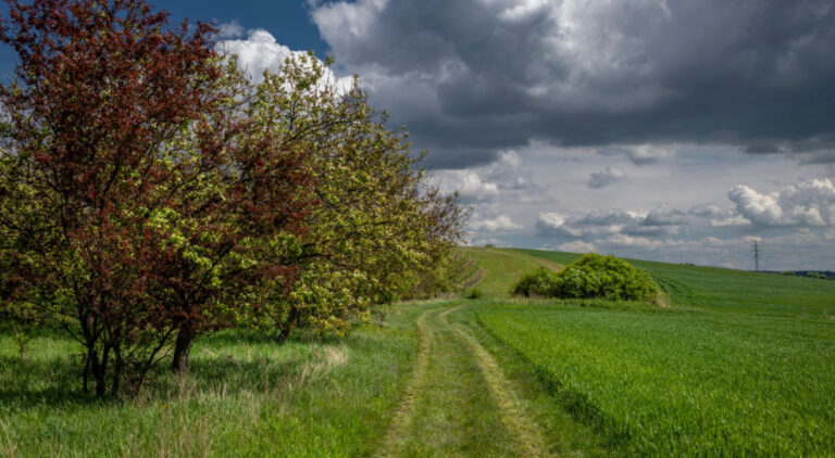 Burze_i_silny_wiatr_w_14_województwach__Ostrzeżeni