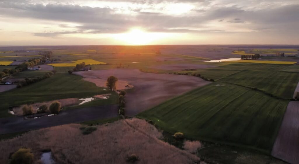 Smog_w_Dąbrowie__wiejska_gmina_walczy_o_czystsze_p