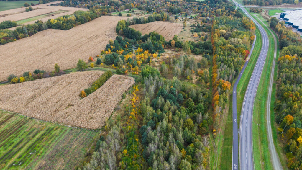 We_Wrocławiu_powstaje_nowy_park_na_Wojnowie___mies