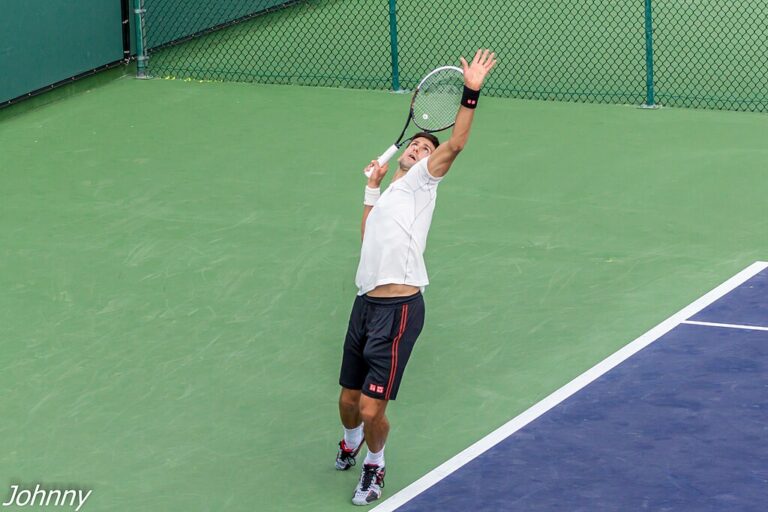 1024px-Nole_Servis_2