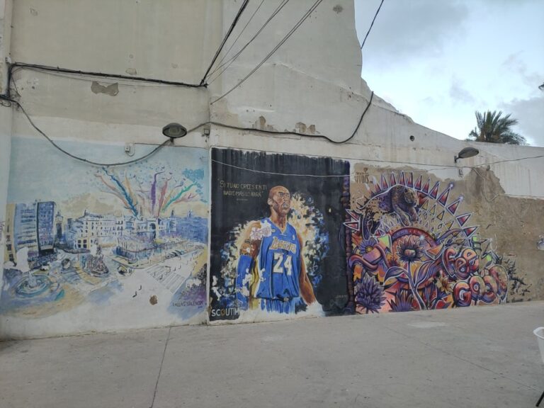 radiopin_20260126_193459