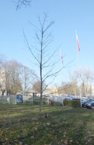 radiopin_20260127_130056