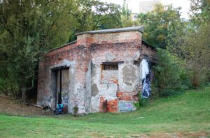 radiopin_20260128_140147