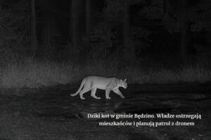 radiopin_20260130_183544