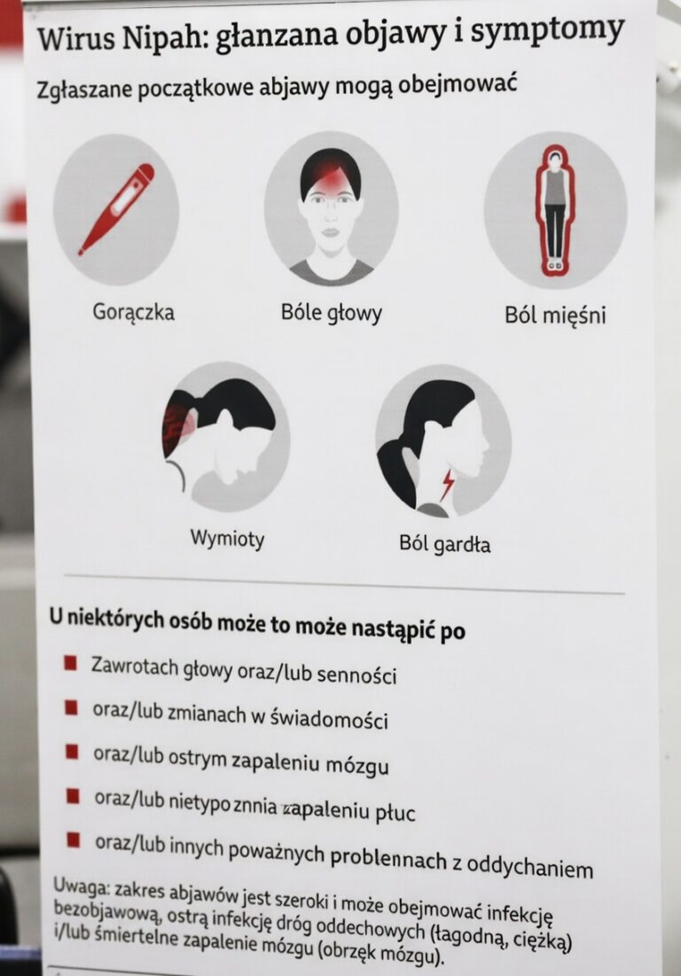 radiopin_20260131_093101