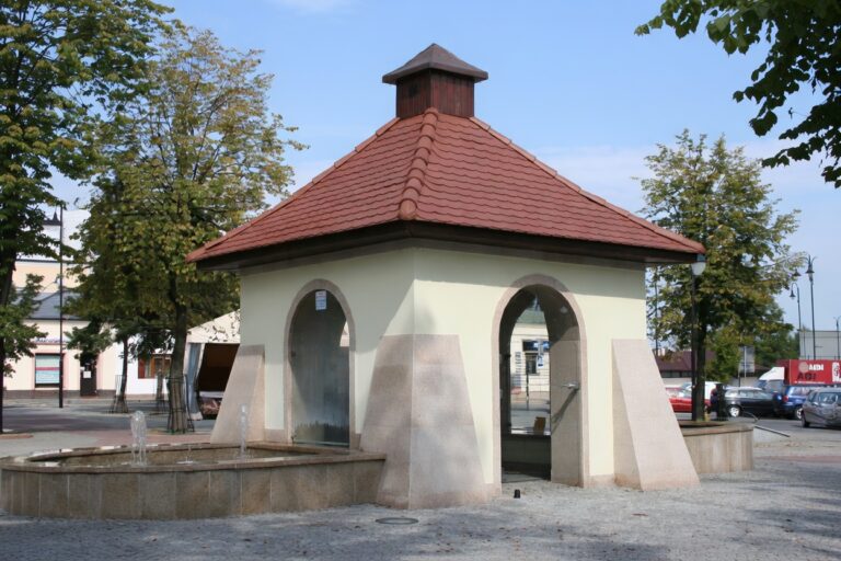 radiopin_20260202_213103