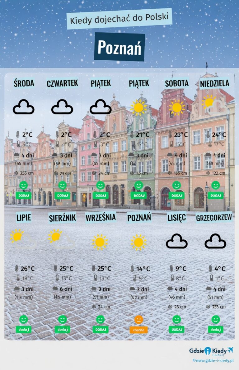 radiopin_20260204_080053