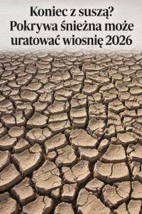 radiopin_20260204_083103