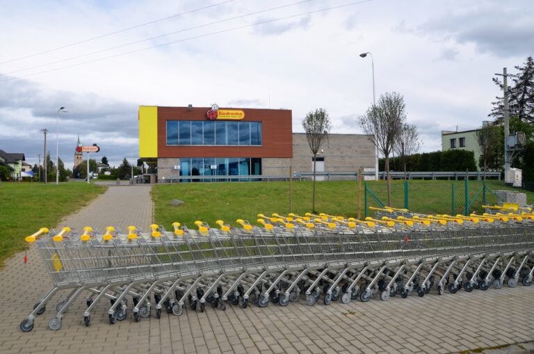 sLedziennicasanrp_KJJ