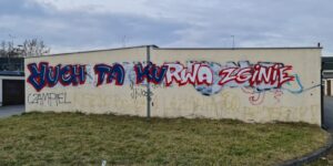 radiopin_20260218_093106