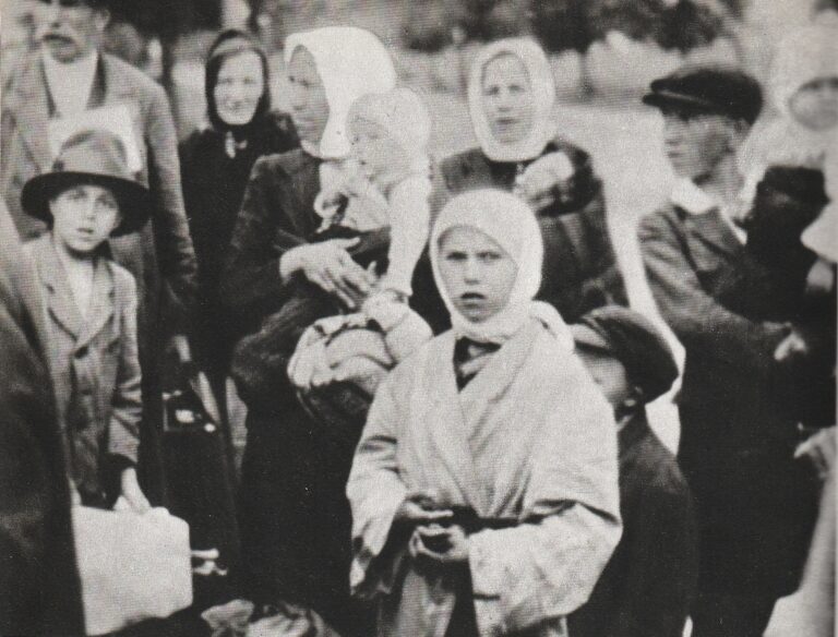 radiopin_20260219_073114