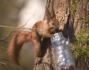 radiopin_20260220_073100