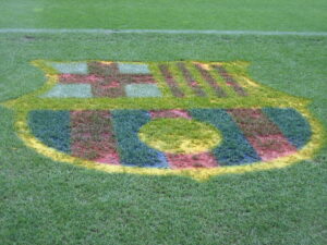 radiopin_20260220_210223