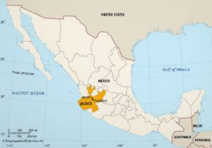 radiopin_20260223_110105