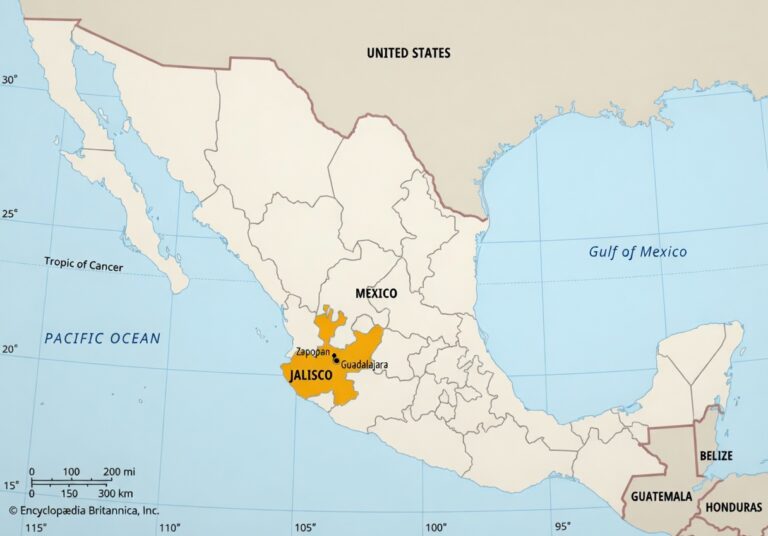 radiopin_20260223_110105