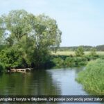 Wkra wystąpiła z koryta w Błędowie. 24 posesje pod wodą przez zator lodowy