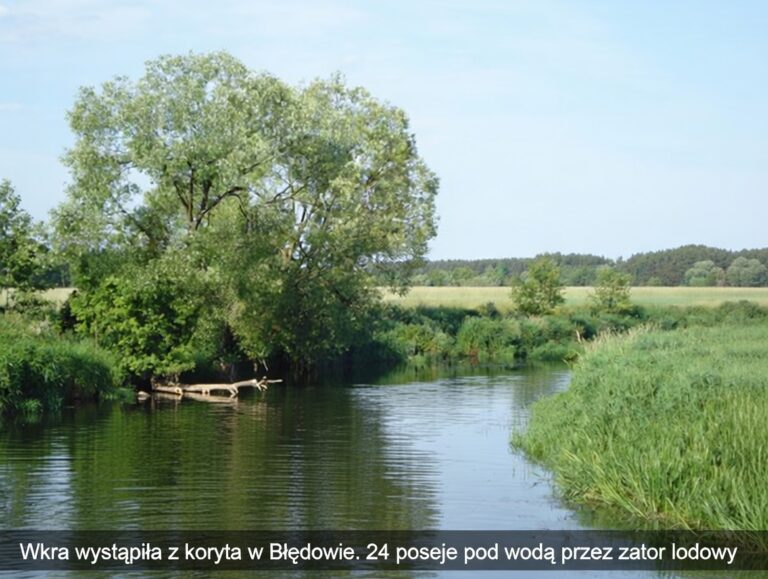 radiopin_20260227_100053