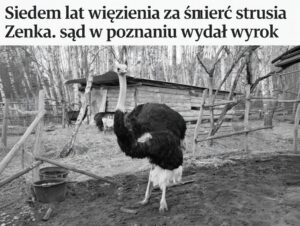 radiopin_20260302_133058