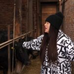 Iwona Węgrowska zaśpiewała krowom w "Damach i Wieśniaczkach". "Ponoć ma zbawienny wpływ na zwierzęta"